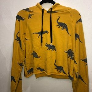 Dinosaurs hoodie  🦕